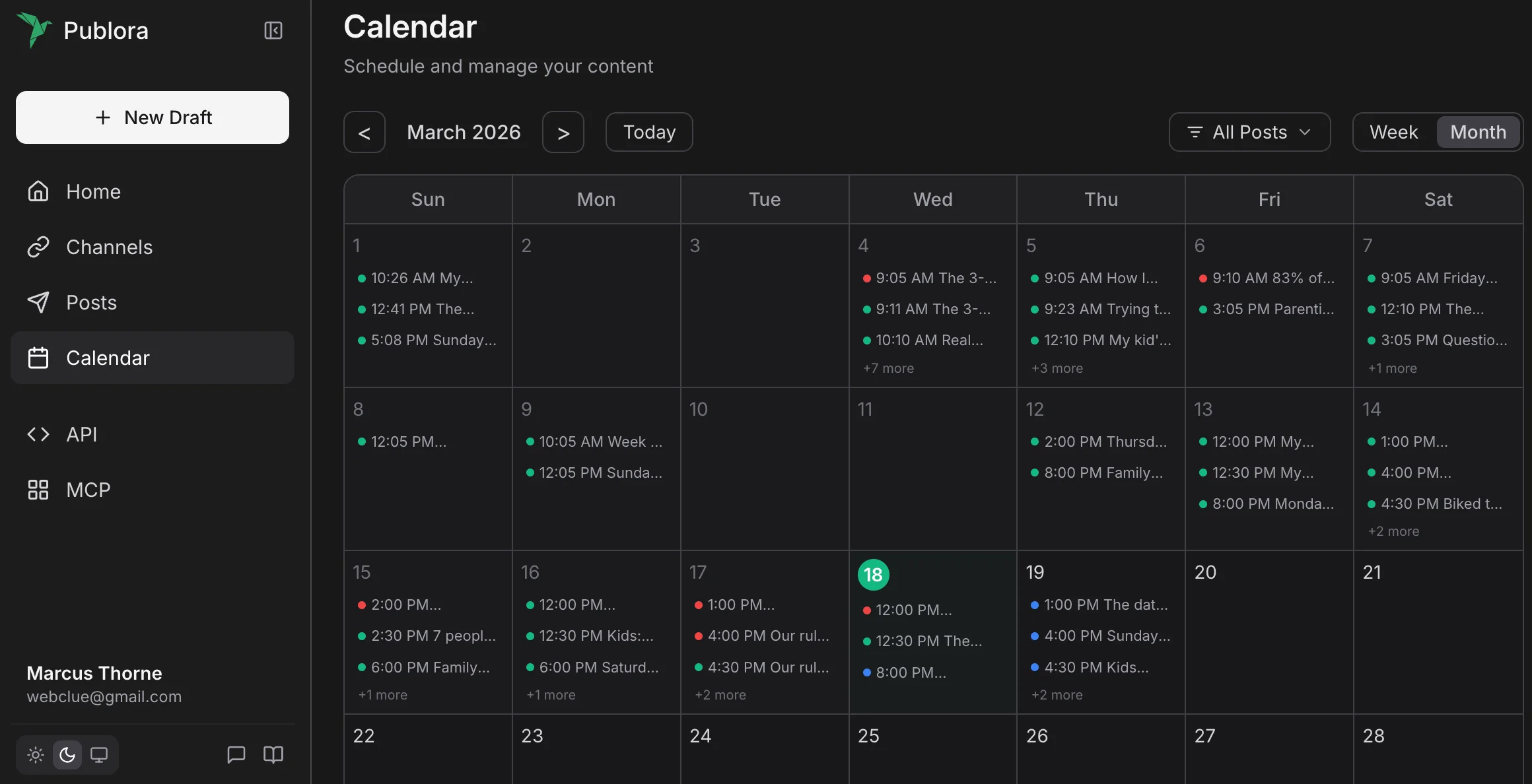 Publora Platform Preview
